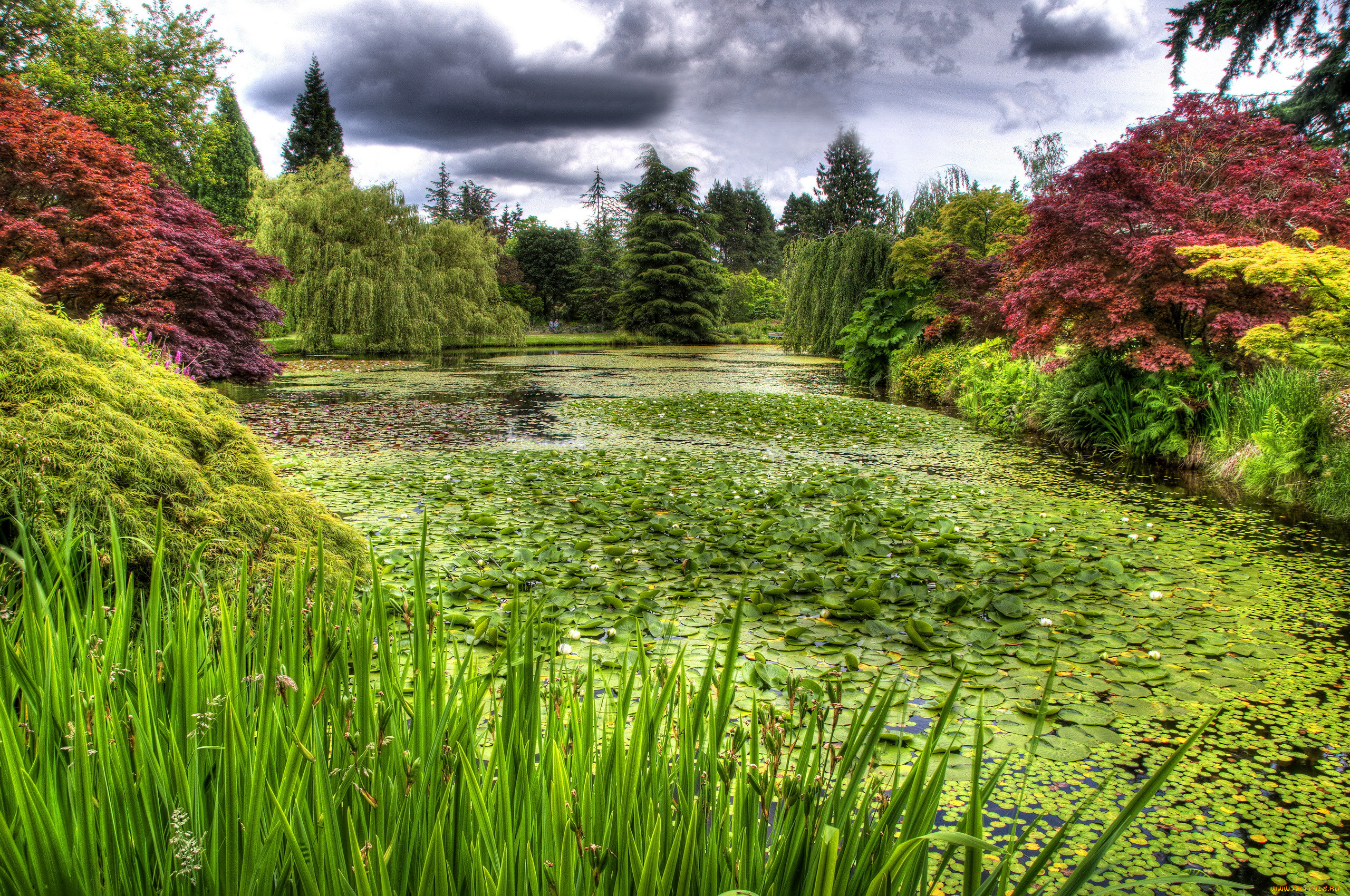 vandusen, botanical, garden, vancouver, , 